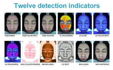 3D Digitale Draagbare Huidanalysator, het Apparaat van de Huidanalyse voor Schoonheidscentrum