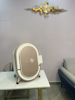 Professionele Vochtigheidsanalysator, de Gezichtsmachine van de vochtigheidsanalysator voor Geven van Ce van Artsenskin therapist het Draagbare Gemakkelijke